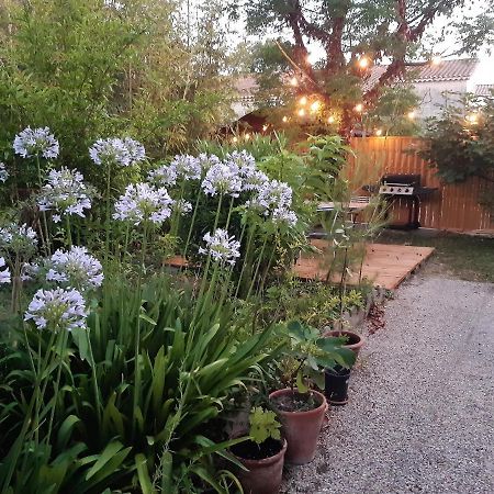 Villa " Les Bambous " , Jardin , Terrasse , Climatisation , Wifi , Parking Avignon Eksteriør billede